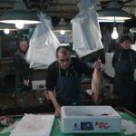 Fish seller at Tsukiji