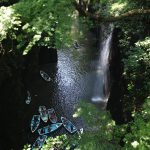 Boats exploring Takachiho gorge