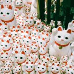 Collection of lucky cats