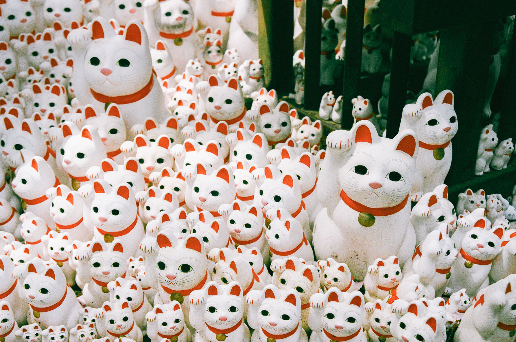 Collection of lucky cats