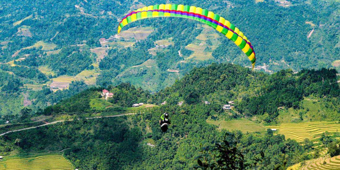 A paraglider over the trees