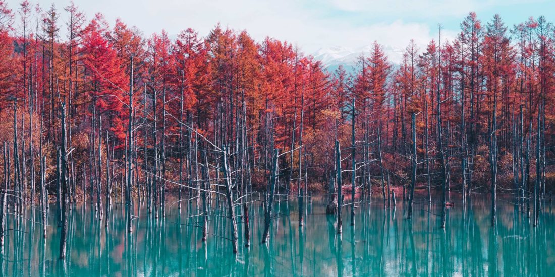 Blue pond in Hokkaido