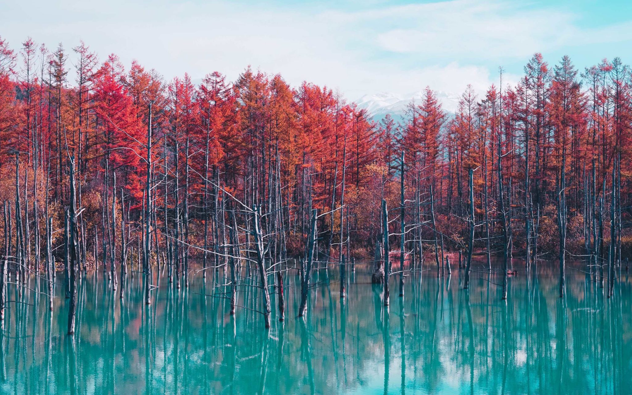 Blue pond in Hokkaido