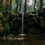 Small waterfall in forest